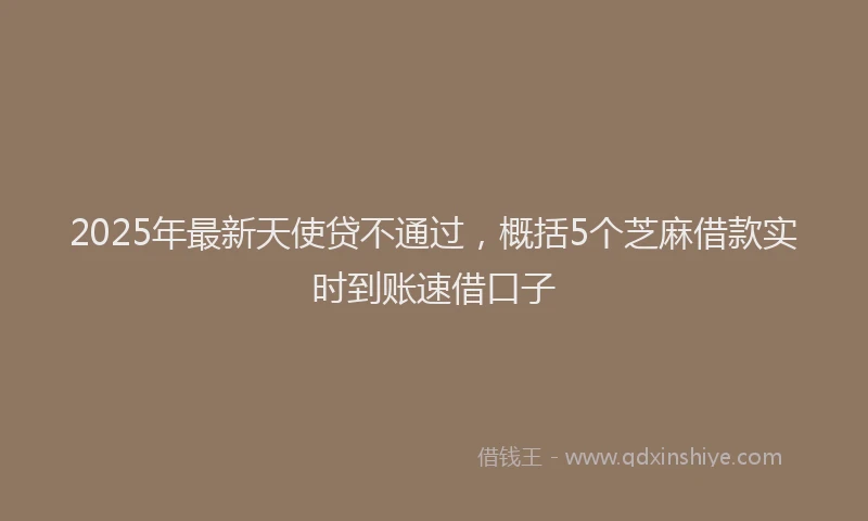 2025年最新天使贷不通过，概括5个芝麻借款实时到账速借口子