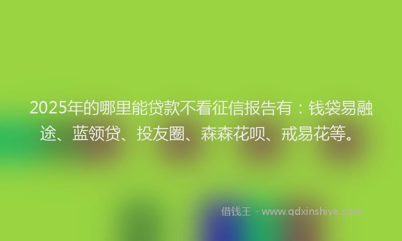 2025年的哪里能贷款不看征信报告有：钱袋易融途、蓝领贷、投友圈、森森花呗、戒易花等。