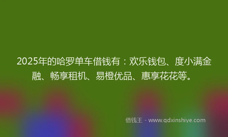 2025年的哈罗单车借钱有：欢乐钱包、度小满金融、畅享租机、易橙优品、惠享花花等。