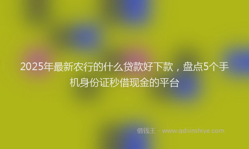 2025年最新农行的什么贷款好下款，盘点5个手机身份证秒借现金的平台