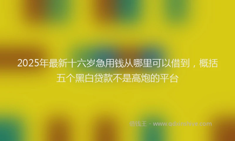 2025年最新十六岁急用钱从哪里可以借到，概括五个黑白贷款不是高炮的平台