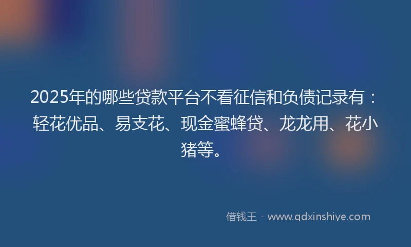 2025年的哪些贷款平台不看征信和负债记录有：轻花优品、易支花、现金蜜蜂贷、龙龙用、花小猪等。