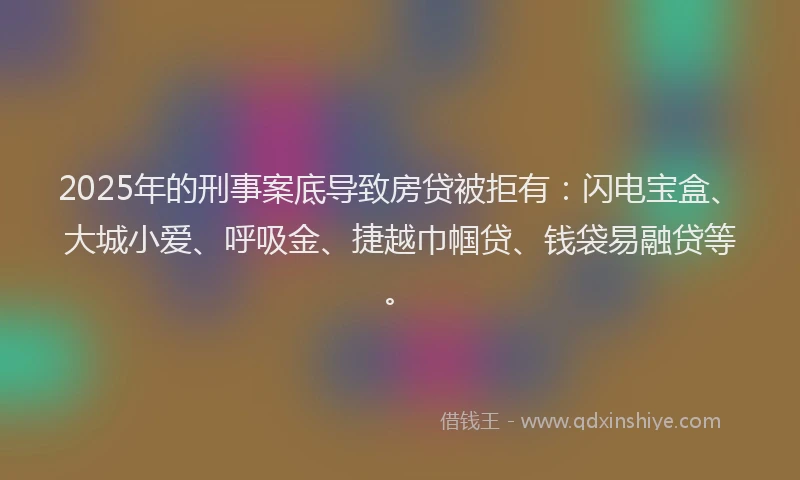 2025年的刑事案底导致房贷被拒有：闪电宝盒、大城小爱、呼吸金、捷越巾帼贷、钱袋易融贷等。