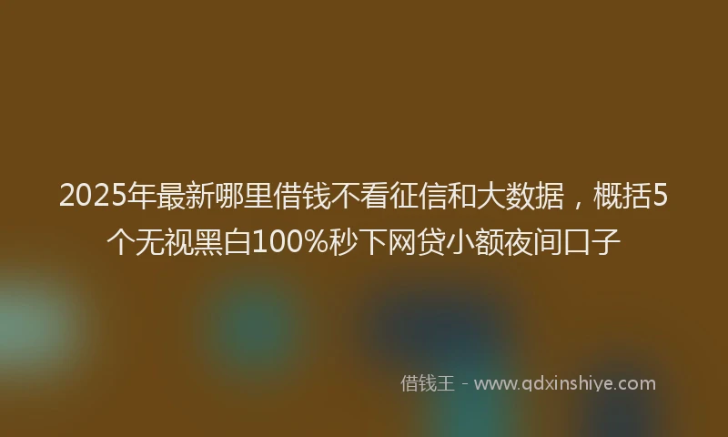 2025年最新哪里借钱不看征信和大数据，概括5个无视黑白100%秒下网贷小额夜间口子