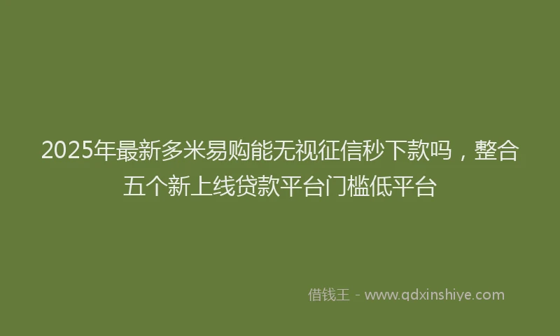 2025年最新多米易购能无视征信秒下款吗，整合五个新上线贷款平台门槛低平台