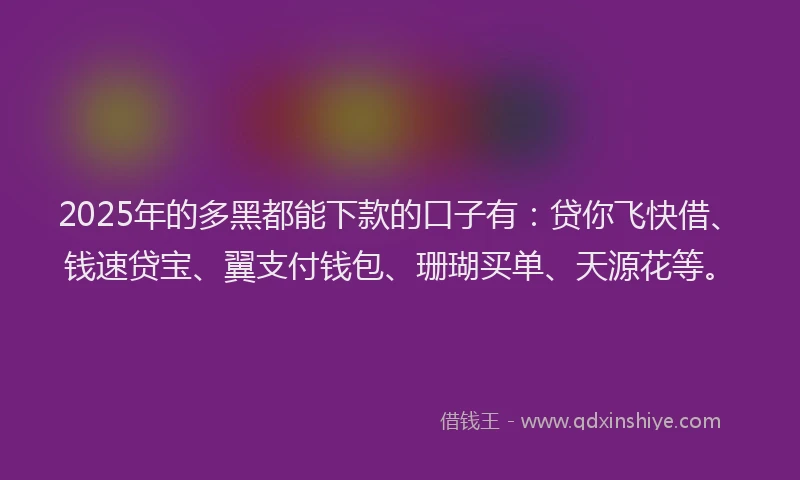 2025年的多黑都能下款的口子有：贷你飞快借、钱速贷宝、翼支付钱包、珊瑚买单、天源花等。
