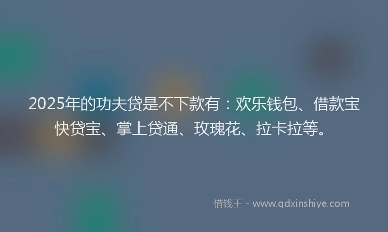 2025年的功夫贷是不下款有：欢乐钱包、借款宝快贷宝、掌上贷通、玫瑰花、拉卡拉等。
