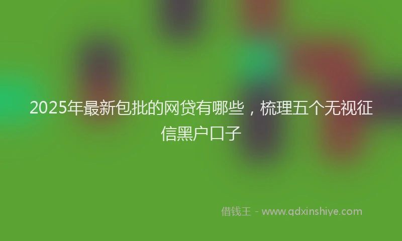 2025年最新包批的网贷有哪些，梳理五个无视征信黑户口子