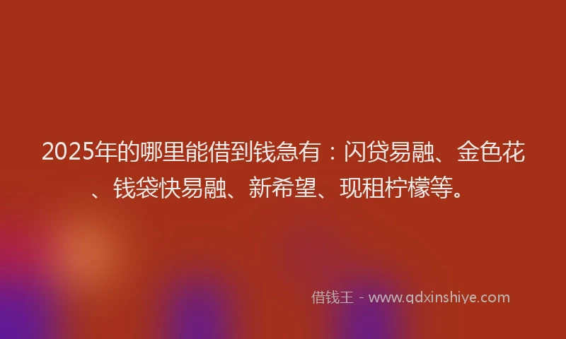 2025年的哪里能借到钱急有：闪贷易融、金色花、钱袋快易融、新希望、现租柠檬等。