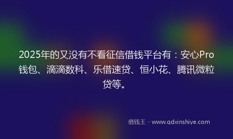 2025年的又没有不看征信借钱平台有：安心Pro钱包、滴滴数科、乐借速贷、恒小花、腾讯微粒贷等。