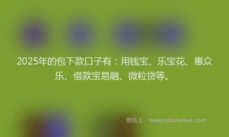 2025年的包下款口子有：用钱宝、乐宝花、惠众乐、借款宝易融、微粒贷等。