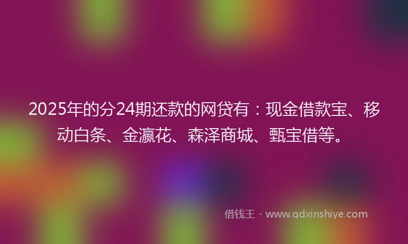 2025年的分24期还款的网贷有：现金借款宝、移动白条、金瀛花、森泽商城、甄宝借等。