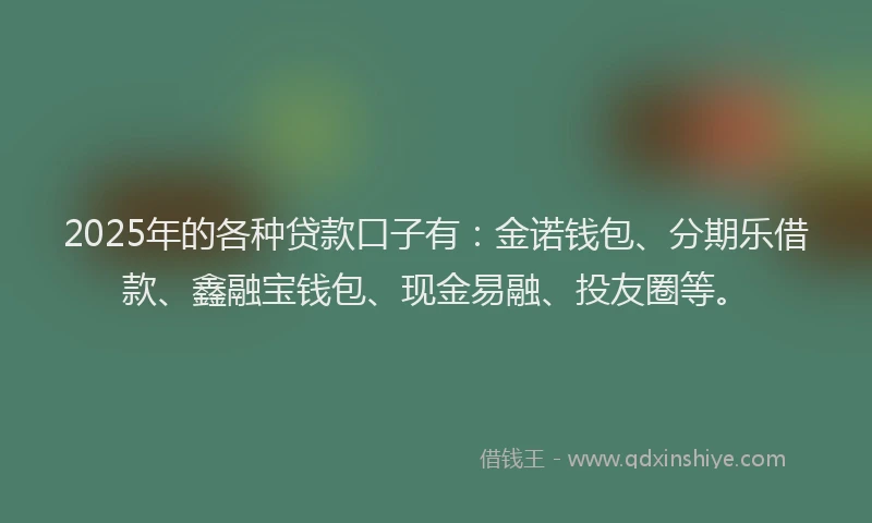 2025年的各种贷款口子有：金诺钱包、分期乐借款、鑫融宝钱包、现金易融、投友圈等。