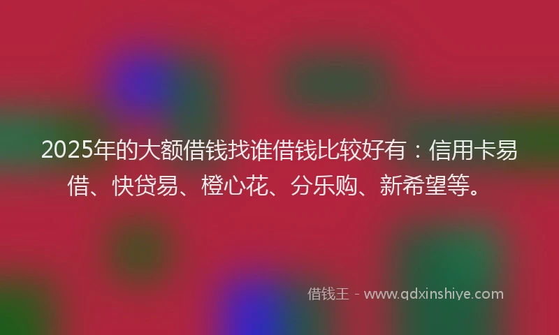 2025年的大额借钱找谁借钱比较好有：信用卡易借、快贷易、橙心花、分乐购、新希望等。
