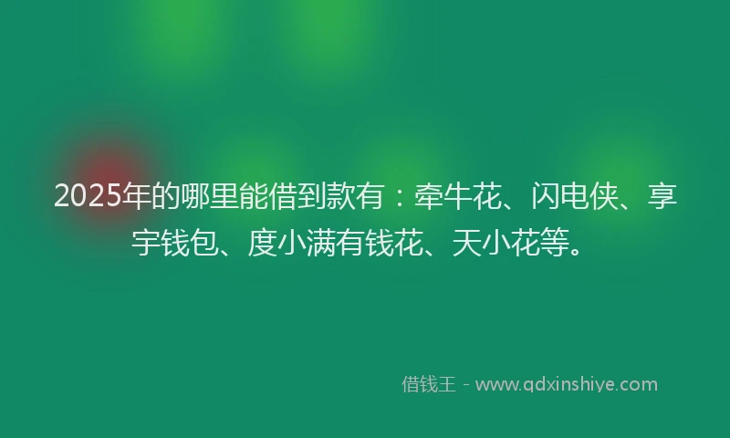 2025年的哪里能借到款有：牵牛花、闪电侠、享宇钱包、度小满有钱花、天小花等。