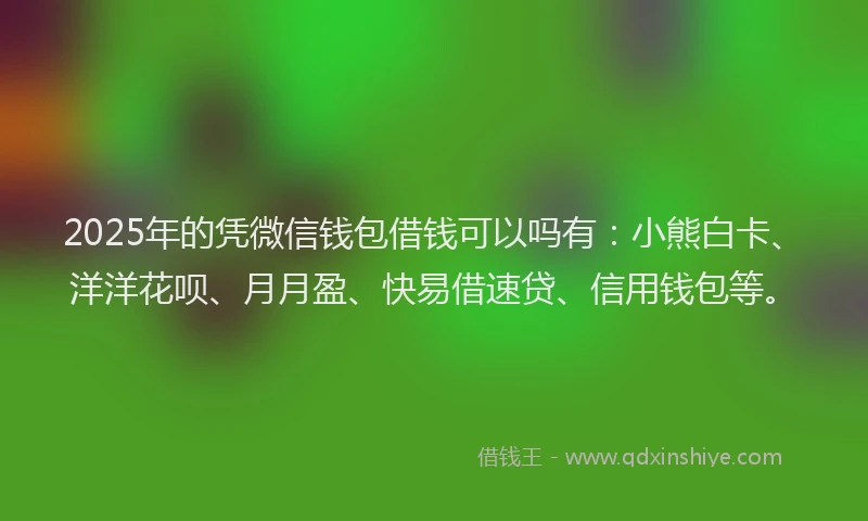 2025年的凭微信钱包借钱可以吗有：小熊白卡、洋洋花呗、月月盈、快易借速贷、信用钱包等。