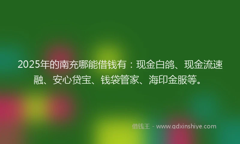 2025年的南充哪能借钱有：现金白鸽、现金流速融、安心贷宝、钱袋管家、海印金服等。