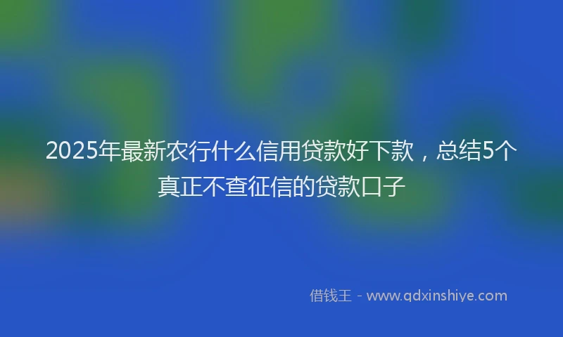 2025年最新农行什么信用贷款好下款，总结5个真正不查征信的贷款口子