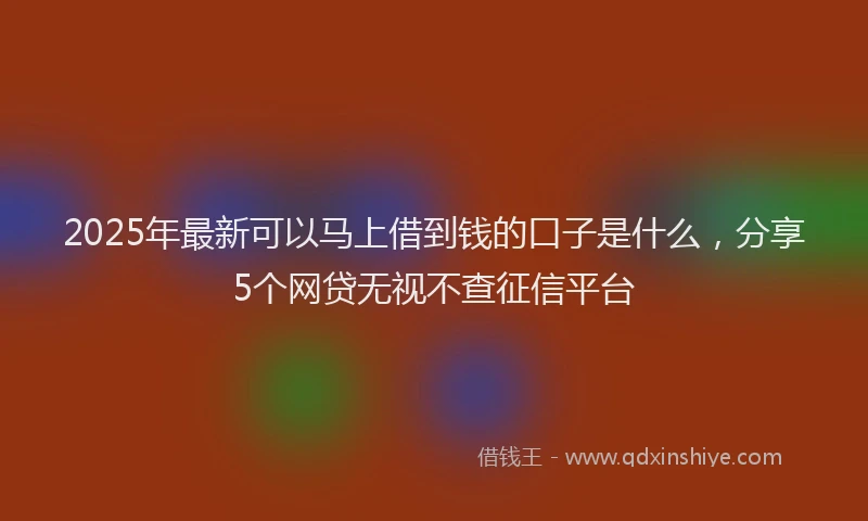 2025年最新可以马上借到钱的口子是什么，分享5个网贷无视不查征信平台