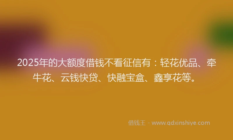 2025年的大额度借钱不看征信有：轻花优品、牵牛花、云钱快贷、快融宝盒、鑫享花等。