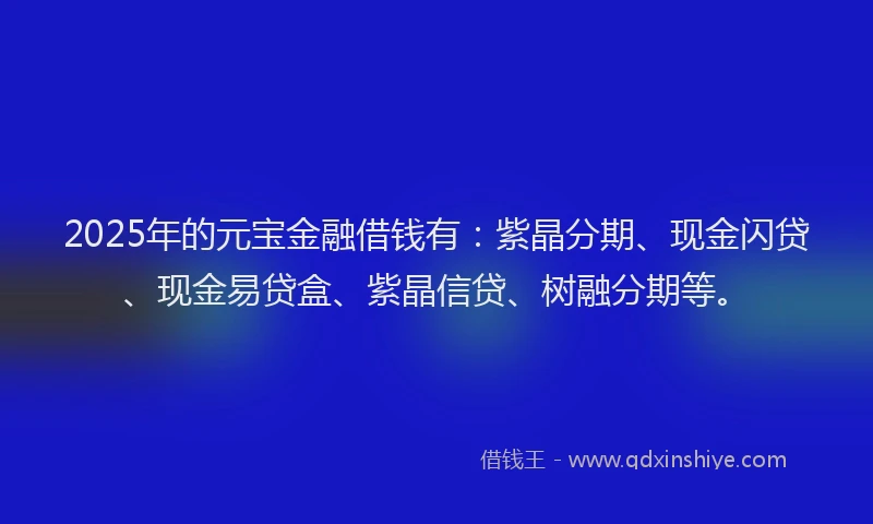 2025年的元宝金融借钱有：紫晶分期、现金闪贷、现金易贷盒、紫晶信贷、树融分期等。