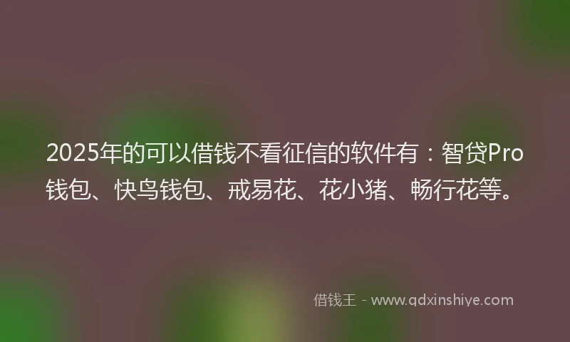 2025年的可以借钱不看征信的软件有：智贷Pro钱包、快鸟钱包、戒易花、花小猪、畅行花等。