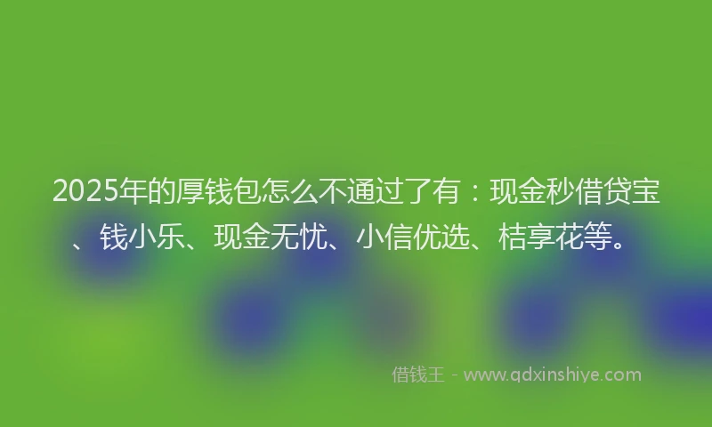 2025年的厚钱包怎么不通过了有：现金秒借贷宝、钱小乐、现金无忧、小信优选、桔享花等。
