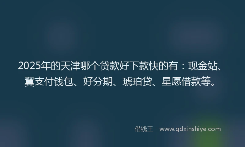 2025年的天津哪个贷款好下款快的有：现金站、翼支付钱包、好分期、琥珀贷、星愿借款等。