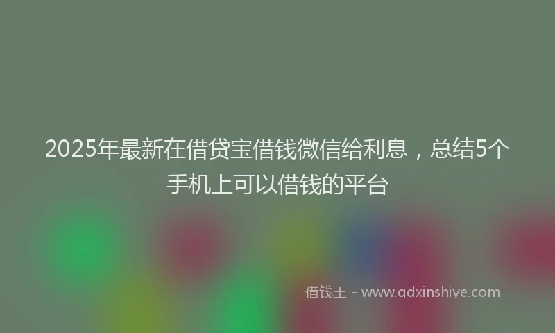 2025年最新在借贷宝借钱微信给利息，总结5个手机上可以借钱的平台
