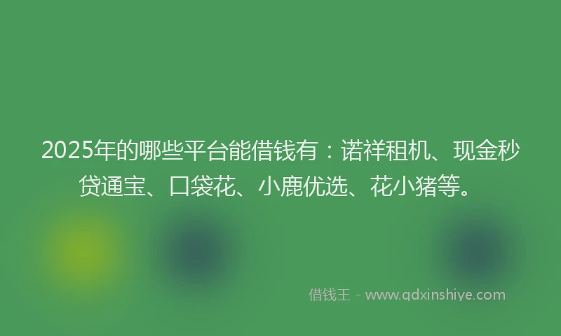 2025年的哪些平台能借钱有：诺祥租机、现金秒贷通宝、口袋花、小鹿优选、花小猪等。