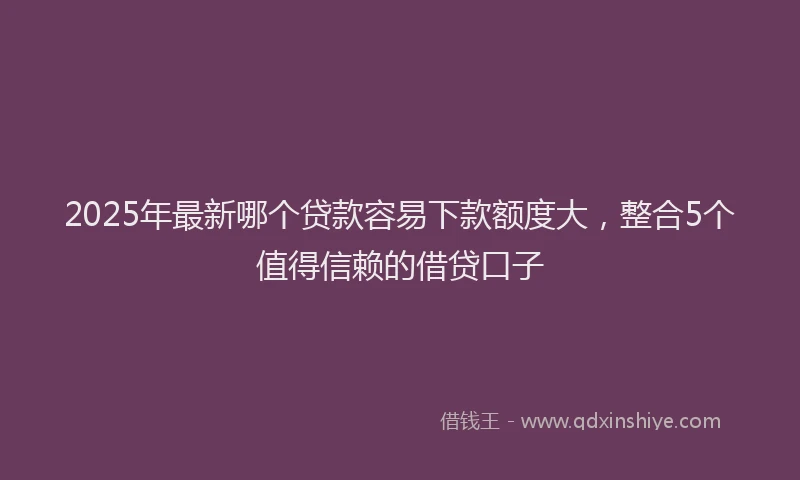 2025年最新哪个贷款容易下款额度大，整合5个值得信赖的借贷口子