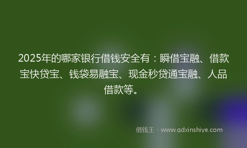 2025年的哪家银行借钱安全有：瞬借宝融、借款宝快贷宝、钱袋易融宝、现金秒贷通宝融、人品借款等。