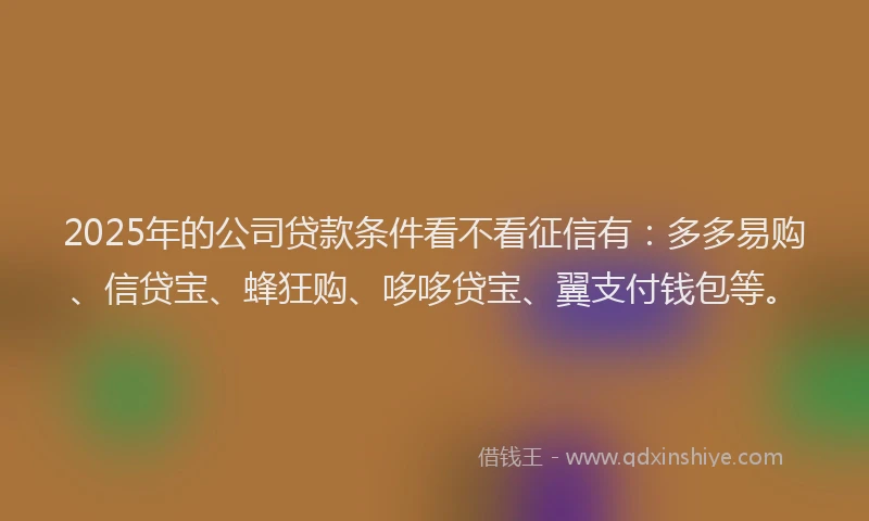 2025年的公司贷款条件看不看征信有：多多易购、信贷宝、蜂狂购、哆哆贷宝、翼支付钱包等。