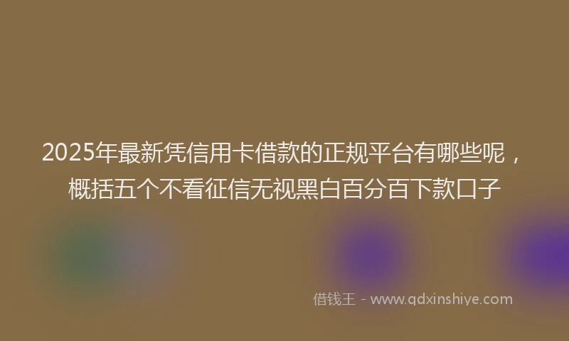 2025年最新凭信用卡借款的正规平台有哪些呢，概括五个不看征信无视黑白百分百下款口子