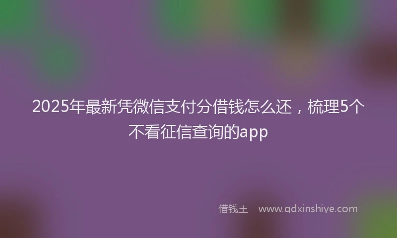 2025年最新凭微信支付分借钱怎么还，梳理5个不看征信查询的app