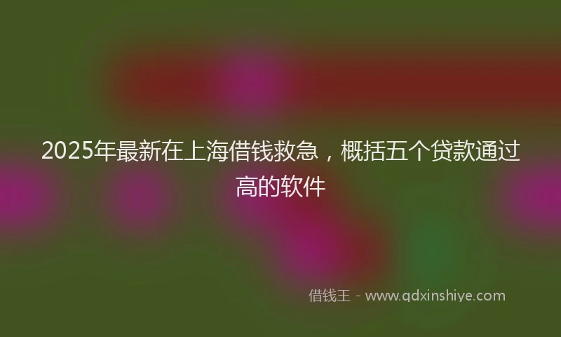 2025年最新在上海借钱救急，概括五个贷款通过高的软件