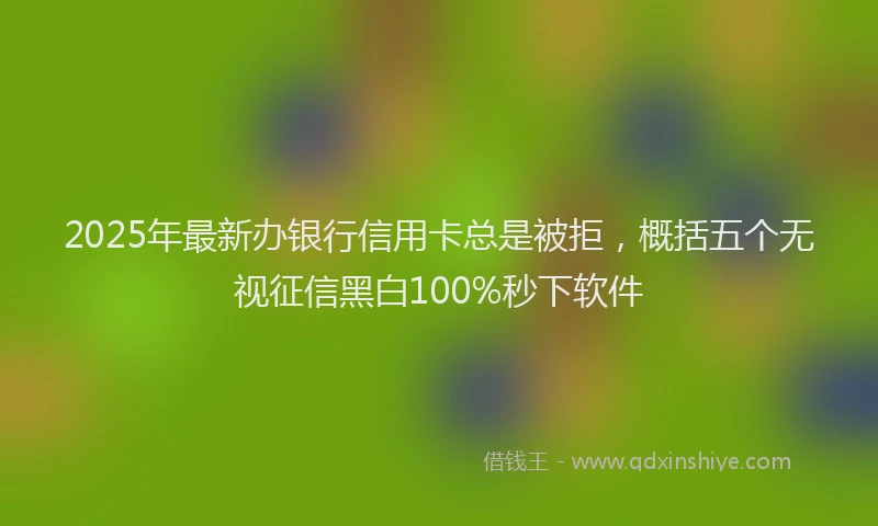 2025年最新办银行信用卡总是被拒，概括五个无视征信黑白100%秒下软件