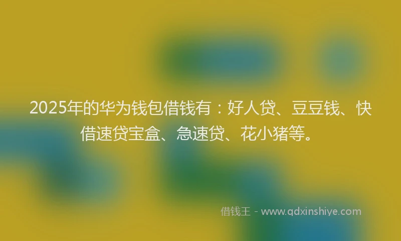 2025年的华为钱包借钱有：好人贷、豆豆钱、快借速贷宝盒、急速贷、花小猪等。