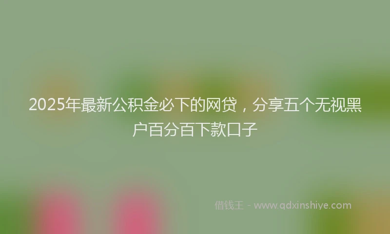 2025年最新公积金必下的网贷，分享五个无视黑户百分百下款口子