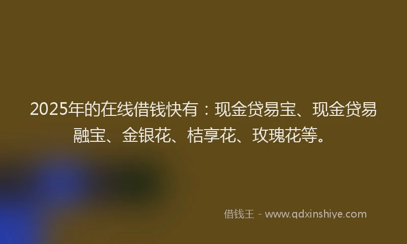 2025年的在线借钱快有：现金贷易宝、现金贷易融宝、金银花、桔享花、玫瑰花等。
