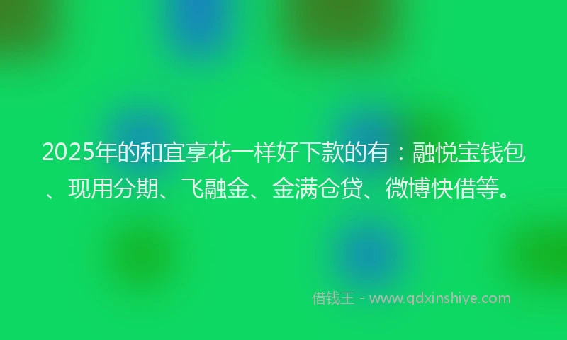 2025年的和宜享花一样好下款的有：融悦宝钱包、现用分期、飞融金、金满仓贷、微博快借等。