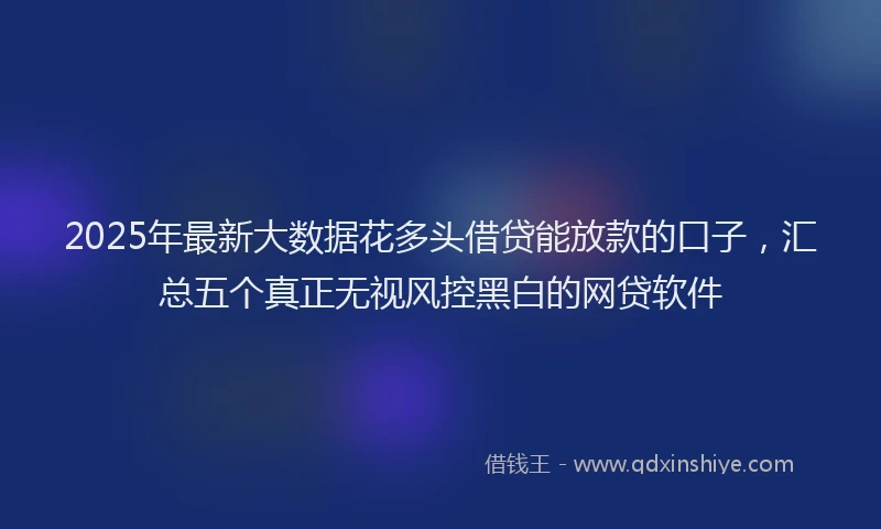 2025年最新大数据花多头借贷能放款的口子，汇总五个真正无视风控黑白的网贷软件