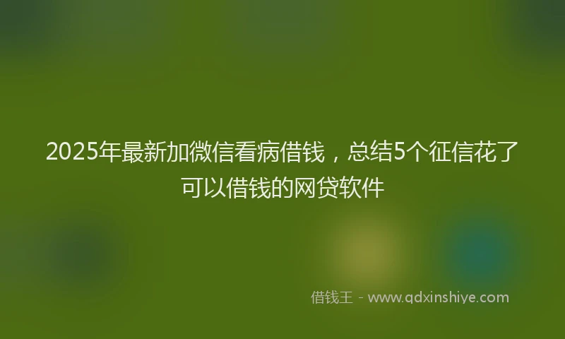 2025年最新加微信看病借钱，总结5个征信花了可以借钱的网贷软件