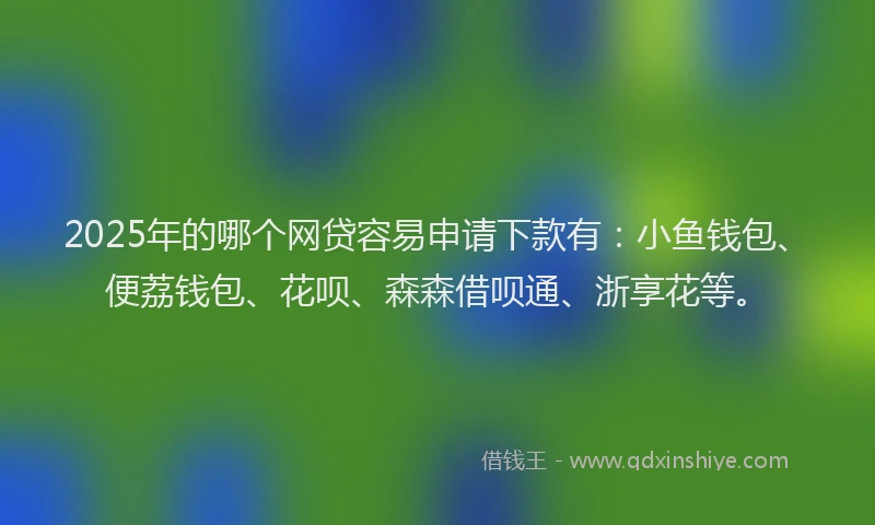 2025年的哪个网贷容易申请下款有：小鱼钱包、便荔钱包、花呗、森森借呗通、浙享花等。