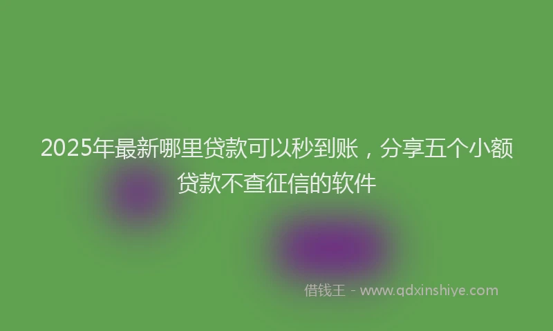 2025年最新哪里贷款可以秒到账，分享五个小额贷款不查征信的软件