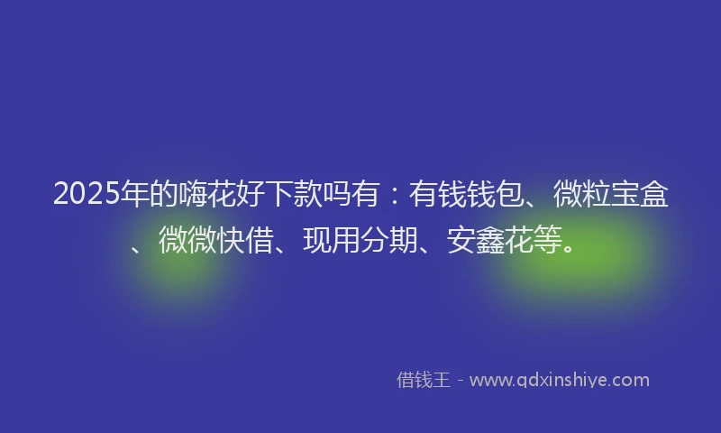 2025年的嗨花好下款吗有：有钱钱包、微粒宝盒、微微快借、现用分期、安鑫花等。
