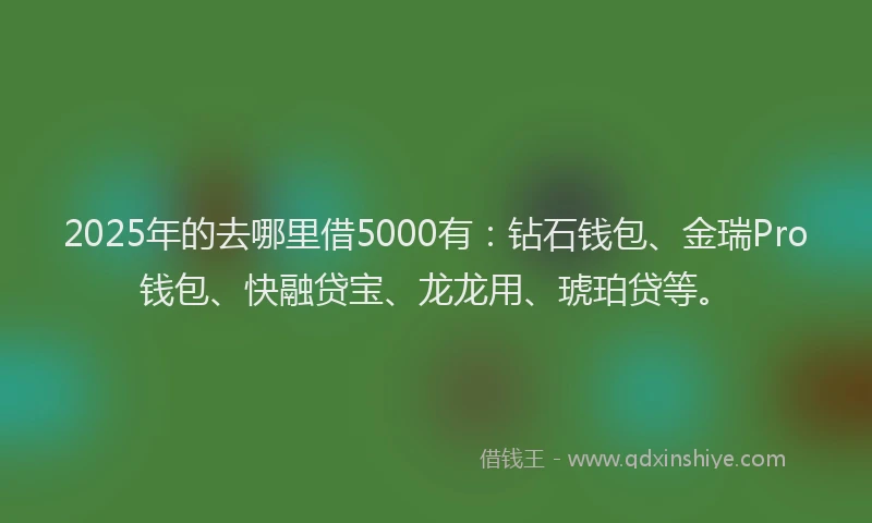2025年的去哪里借5000有：钻石钱包、金瑞Pro钱包、快融贷宝、龙龙用、琥珀贷等。