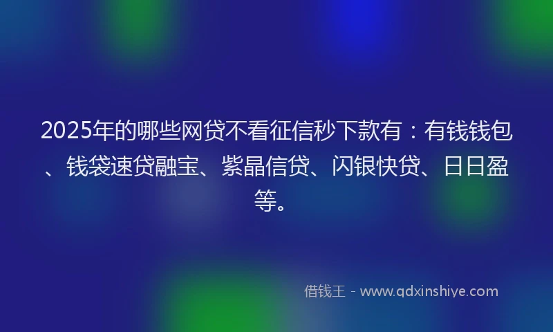 2025年的哪些网贷不看征信秒下款有：有钱钱包、钱袋速贷融宝、紫晶信贷、闪银快贷、日日盈等。