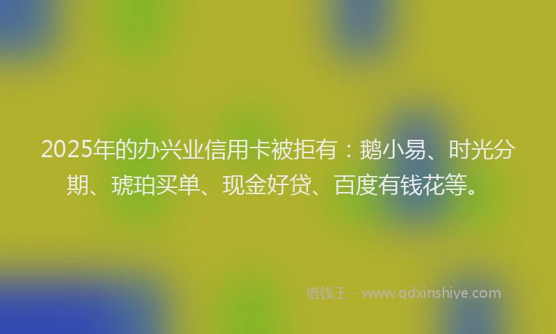 2025年的办兴业信用卡被拒有:鹅小易、时光分期、琥珀买单、现金好贷、百度有钱花等。