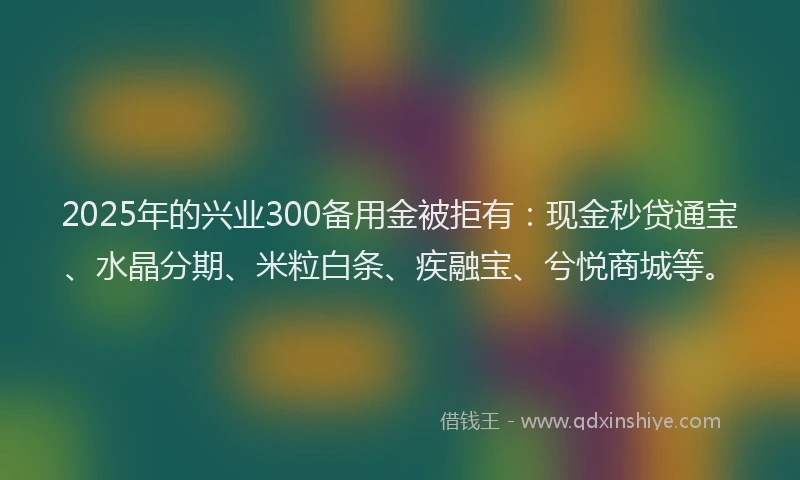 2025年的兴业300备用金被拒有：现金秒贷通宝、水晶分期、米粒白条、疾融宝、兮悦商城等。